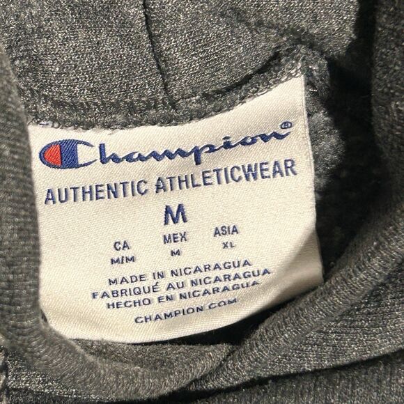 Champion Michigan Wolverines XL Classic M Logo Hoodie Sweatshirt Block - Picture 2 of 6